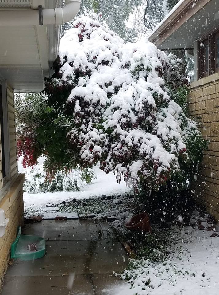 Snow, 10/14